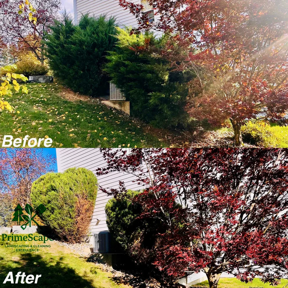 PrimeScape Services LLC - Photo 11
