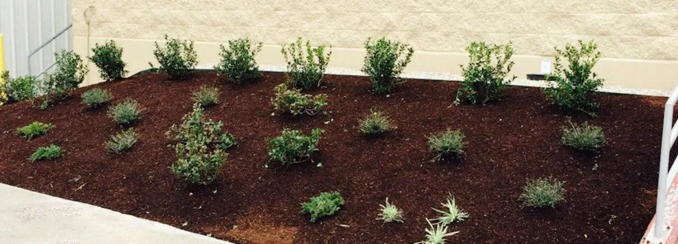 James Hilliard & Sons Landscaping - Photo 7
