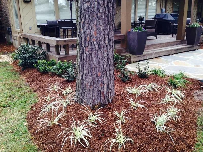 James Hilliard & Sons Landscaping - Photo 2