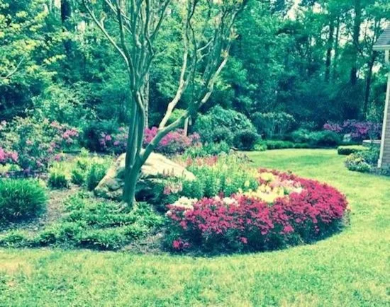 Exhibition by James Hilliard & Sons Landscaping - Photo 15
