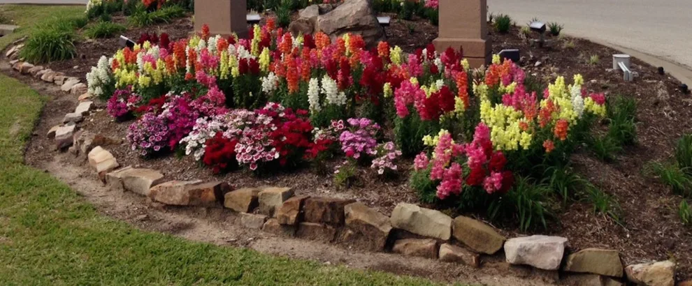 James Hilliard & Sons Landscaping - Photo 14