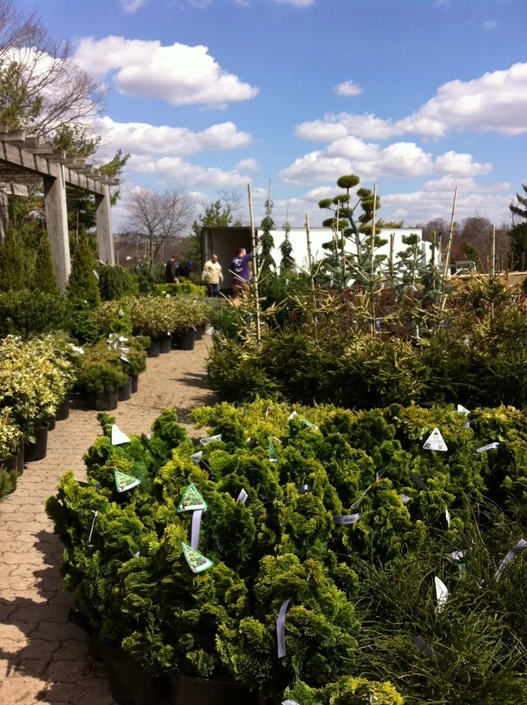 Plumline Nursery Inc - Photo 11