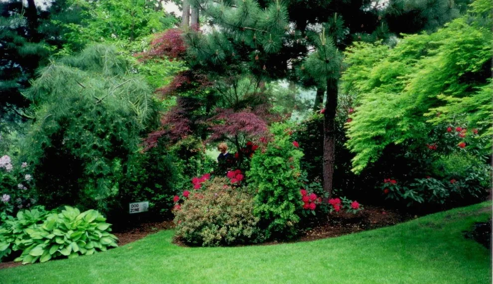 Exhibition by Plumline Nursery Inc - Photo 10
