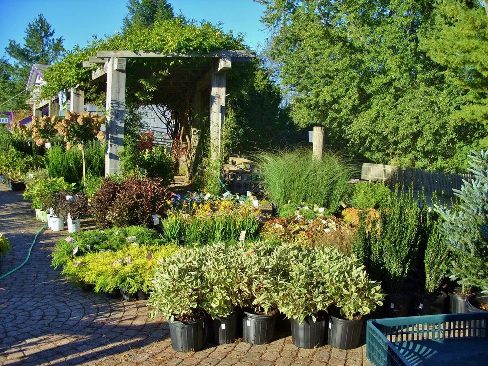 Plumline Nursery Inc - Photo 13