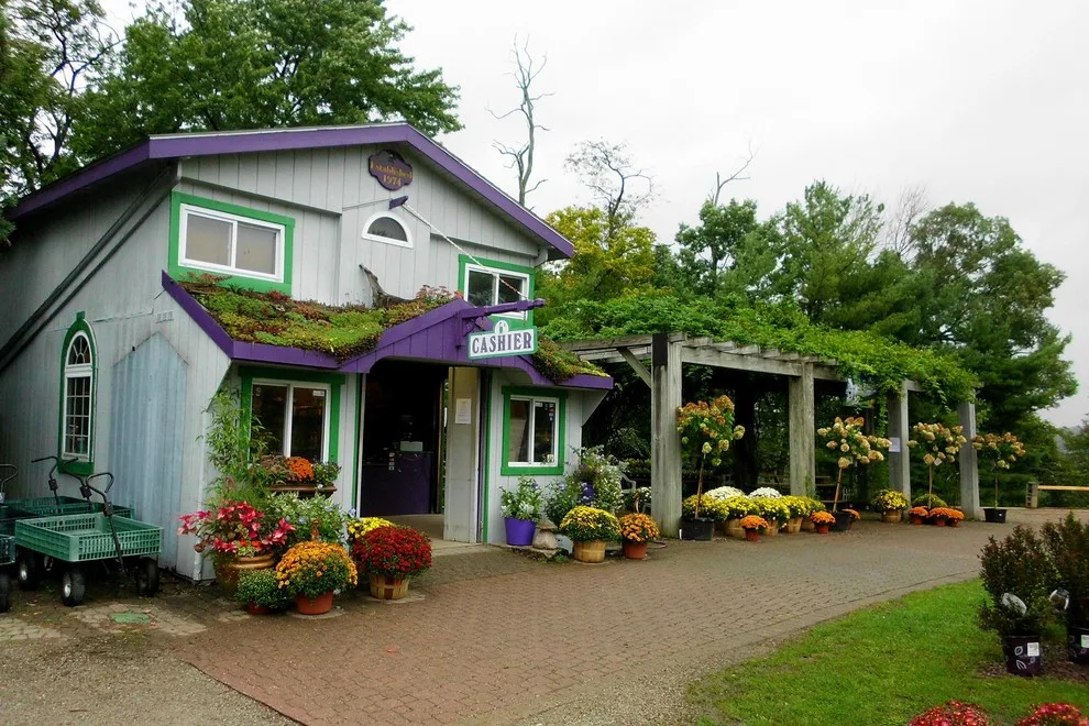 Plumline Nursery Inc - Photo 6