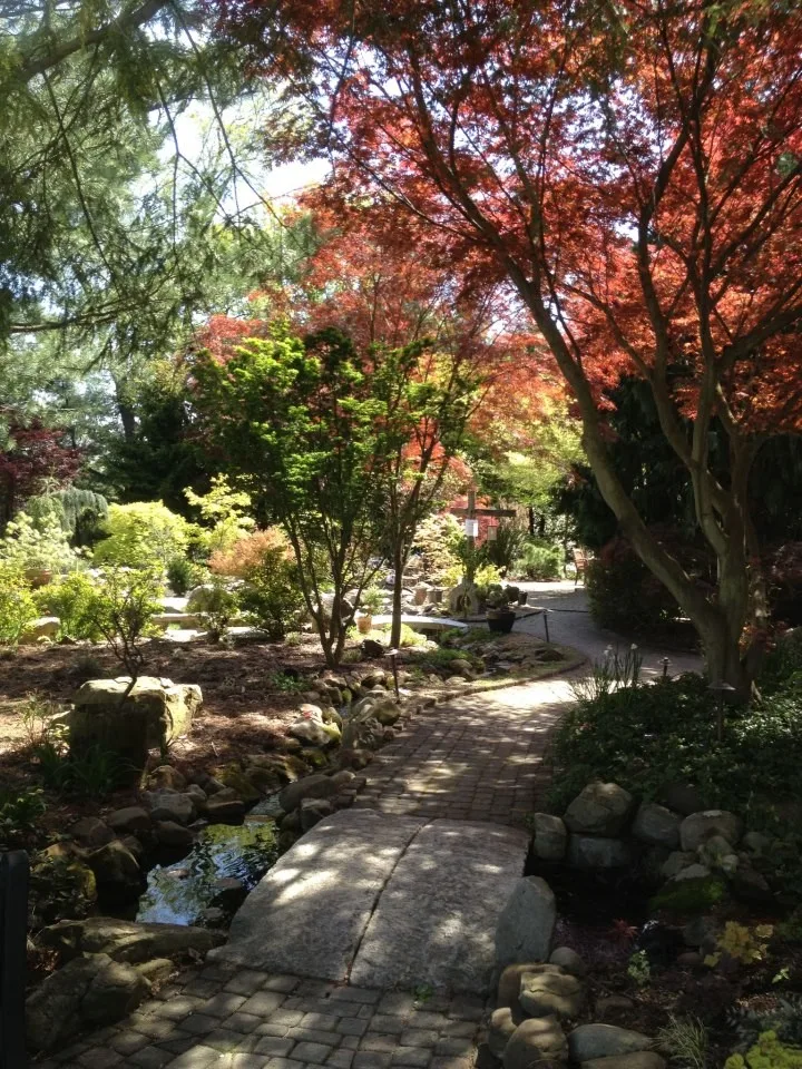 Exhibition by Plumline Nursery Inc - Photo 13