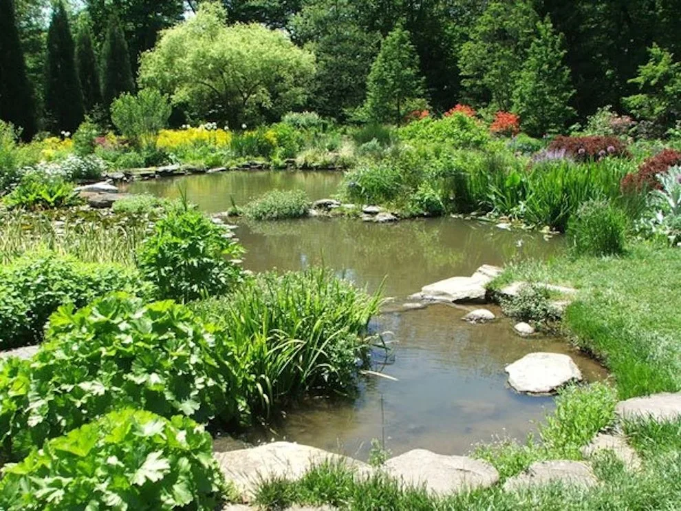 Plumline Nursery Inc - Photo 9