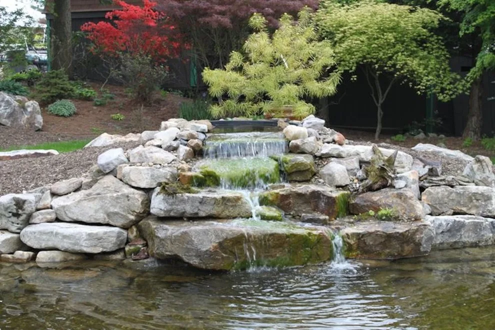 Plumline Nursery Inc - Photo 8