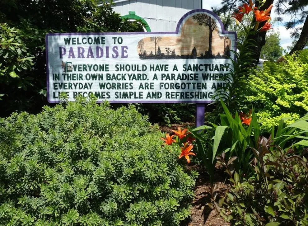 Plumline Nursery Inc - Photo 4