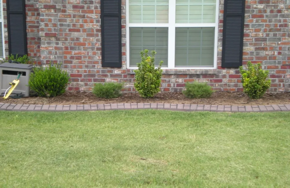 Exhibition by Miller Lawn Care - Photo 11