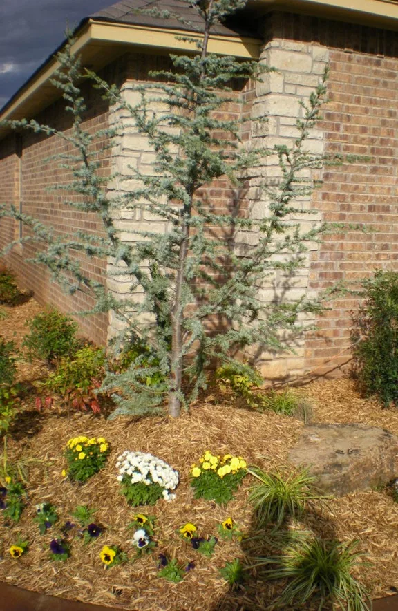 Miller Lawn Care - Photo 8