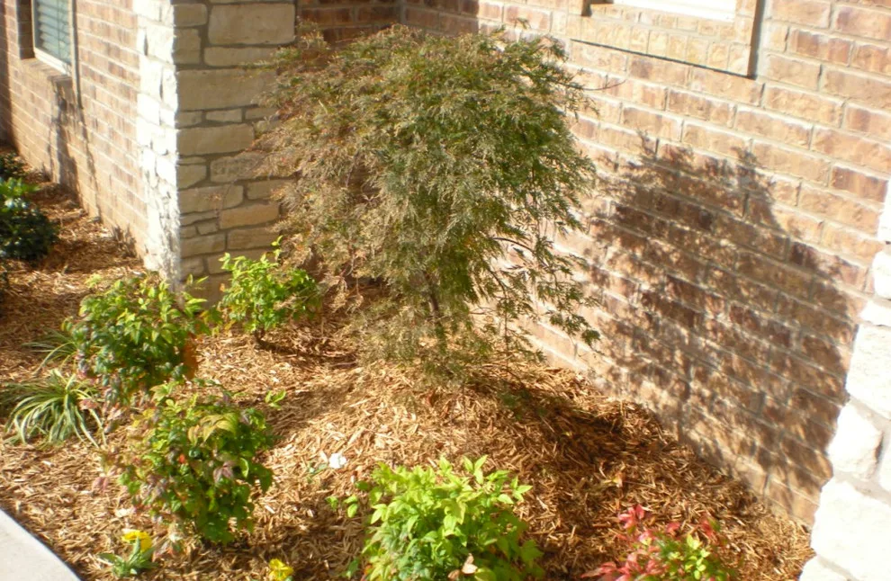 Exhibition by Miller Lawn Care - Photo 17