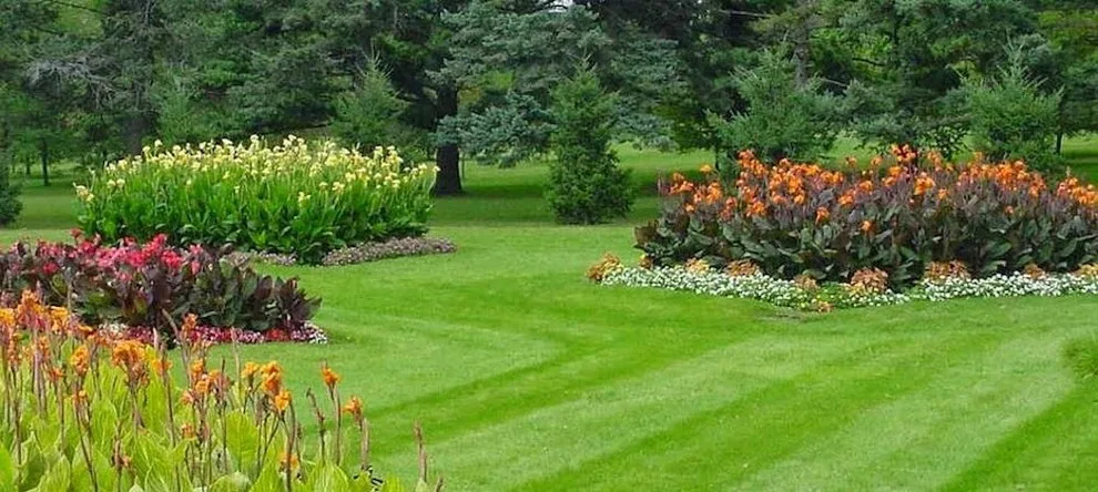 Mr. Lawn - Lawn Care And Landscaping - Photo 3