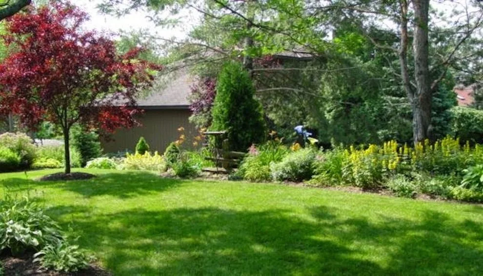 Mr. Lawn - Lawn Care And Landscaping - Photo 7