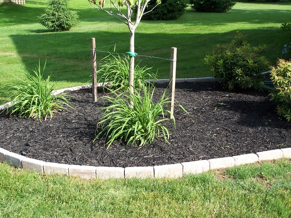 Gardening and Plant Cultivation by Town & Country Enterprises Inc - Photo 20