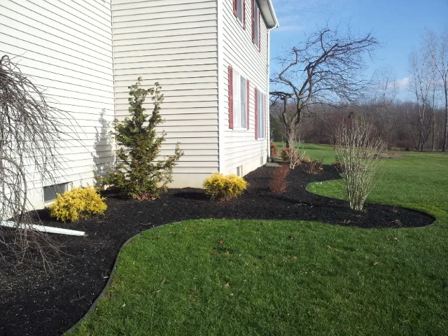 Gardening and Plant Cultivation by Town & Country Enterprises Inc - Photo 4