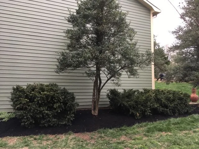 Landscape Innovation - Photo 7
