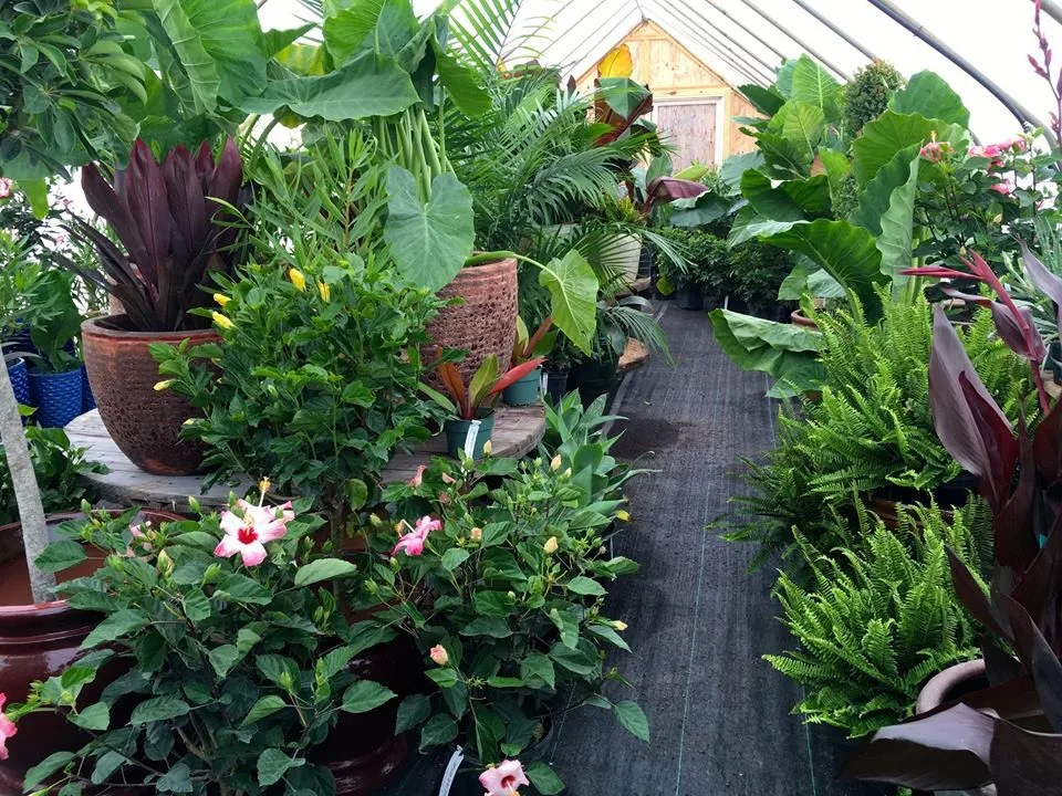 Angola Garden Center by Lawnscape Lawn Maintenance - Photo 24