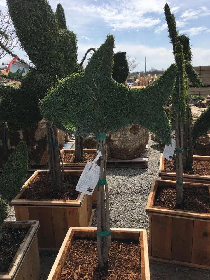Angola Garden Center by Lawnscape Lawn Maintenance - Photo 17