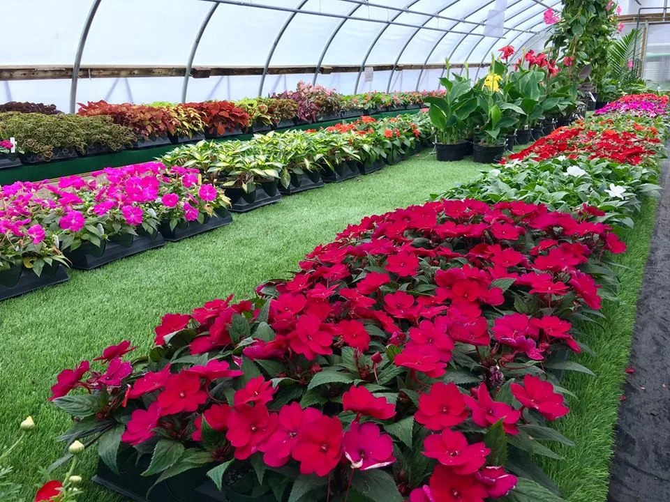 Angola Garden Center by Lawnscape Lawn Maintenance - Photo 22
