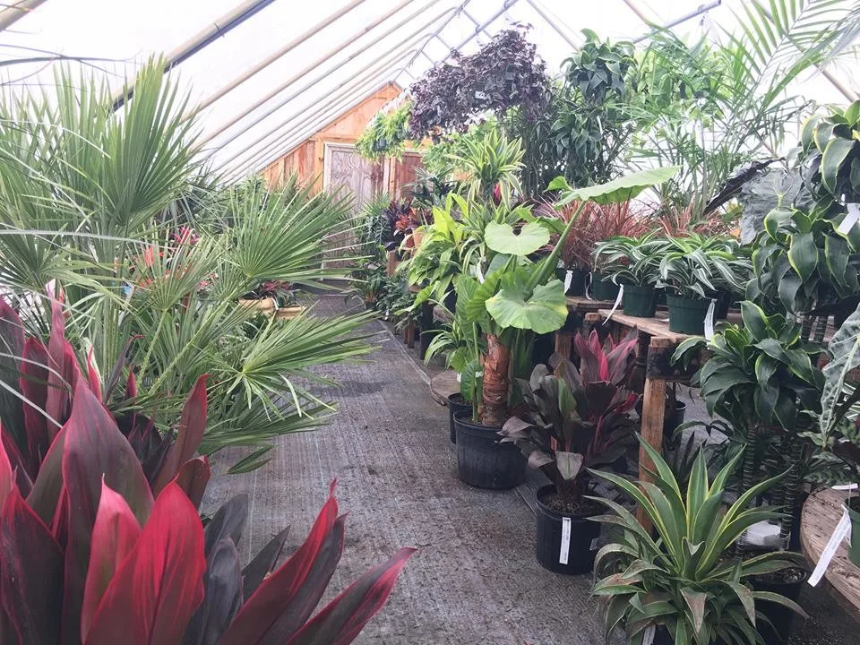Angola Garden Center by Lawnscape Lawn Maintenance - Photo 31