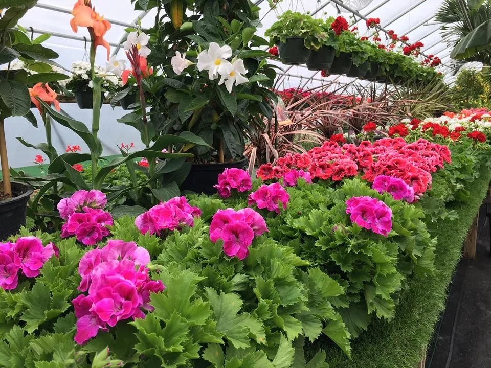 Angola Garden Center by Lawnscape Lawn Maintenance - Photo 8