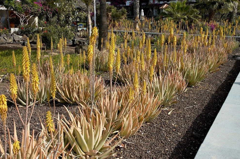 R&D Lawn Care And Landscaping - Photo 9