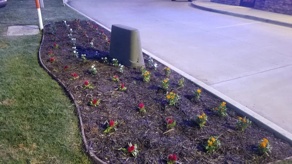 Landscaping Design Initiatives by Marshall Lawn And Landscape - Photo 5