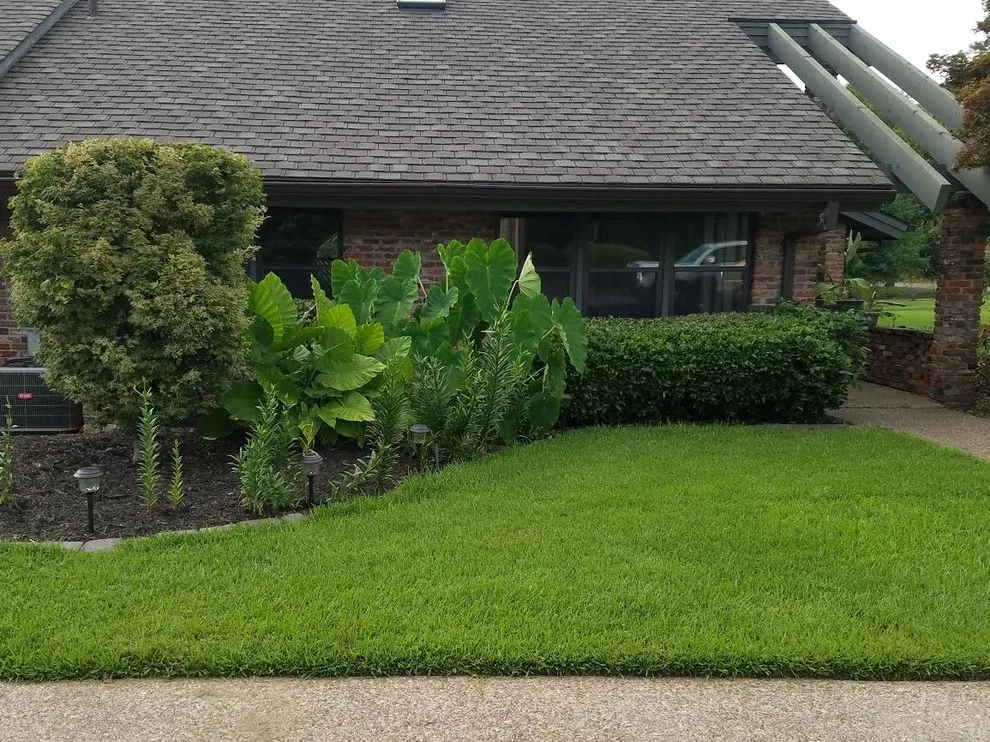 Marshall Lawn And Landscape - Photo 4