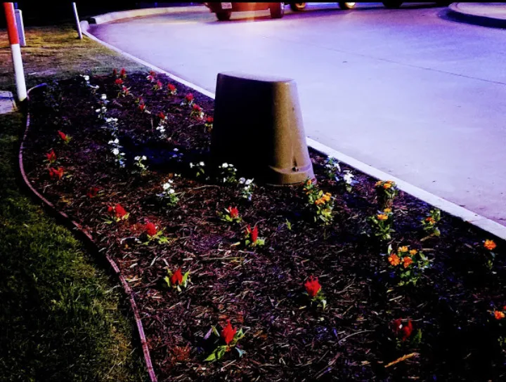 Landscaping Design Initiatives by Marshall Lawn And Landscape - Photo 4