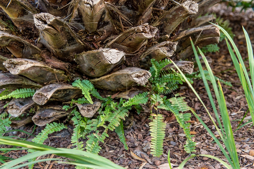 Seasonal Surprise by Carolina Landscape, Inc. - Photo 11