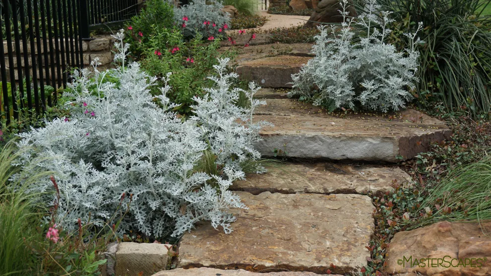 Landscape Pathway Creations by MasterScapes - Photo 4