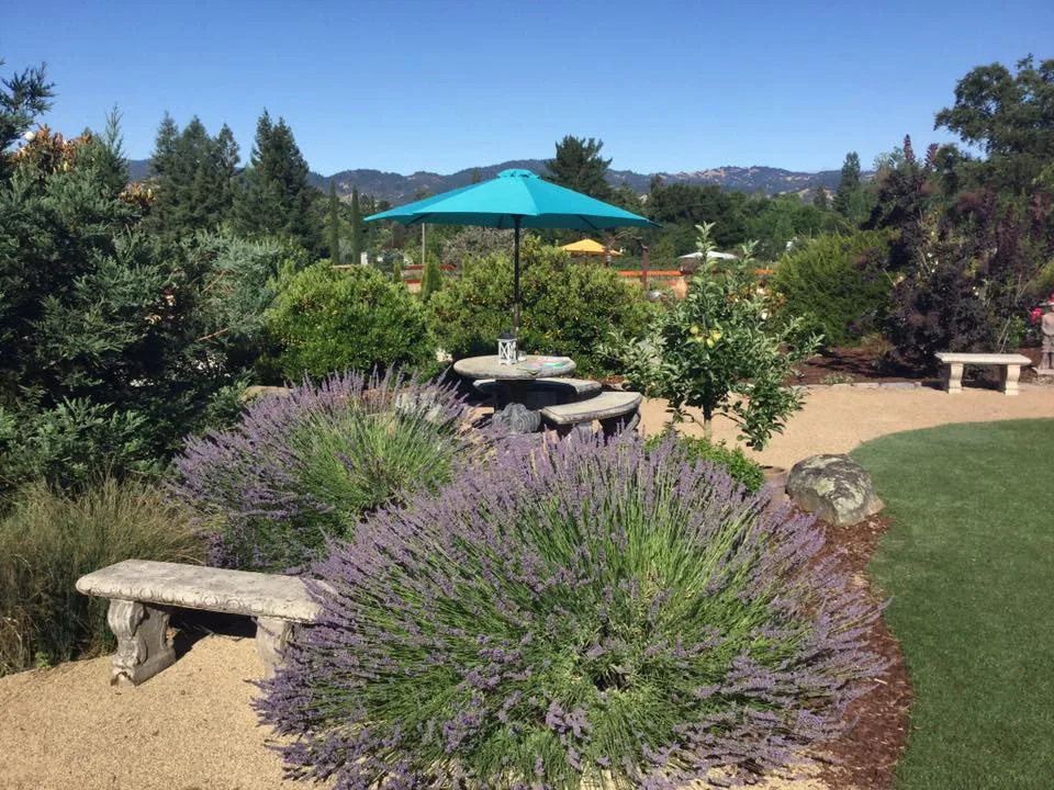 Nickel Creek Landscape & Design - Photo 9