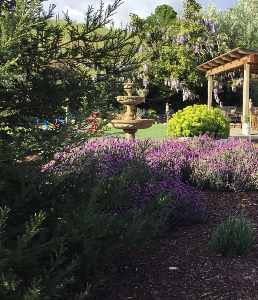 Nickel Creek Landscape & Design - Photo 14