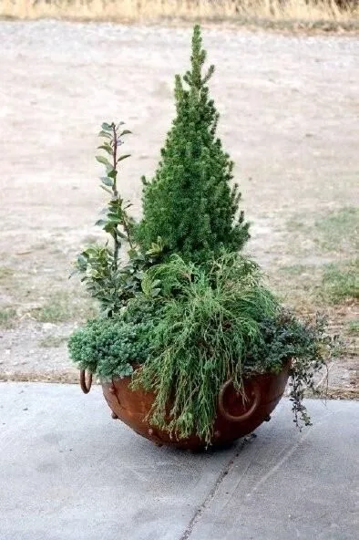 Porch Container Design Concepts by Norlen Landscaping, LLC - Photo 2