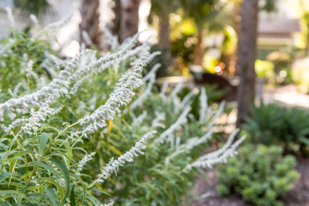 Seasonal Surprise by Carolina Landscape, Inc. - Photo 10