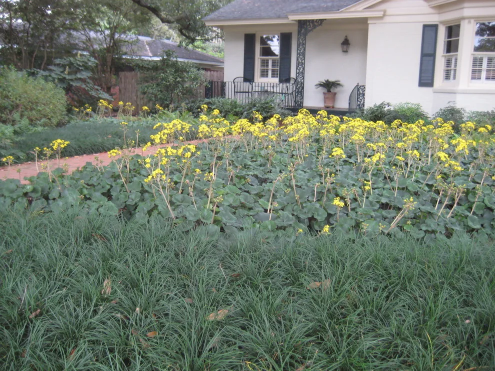 Louisiana Horticulture Services - Photo 13