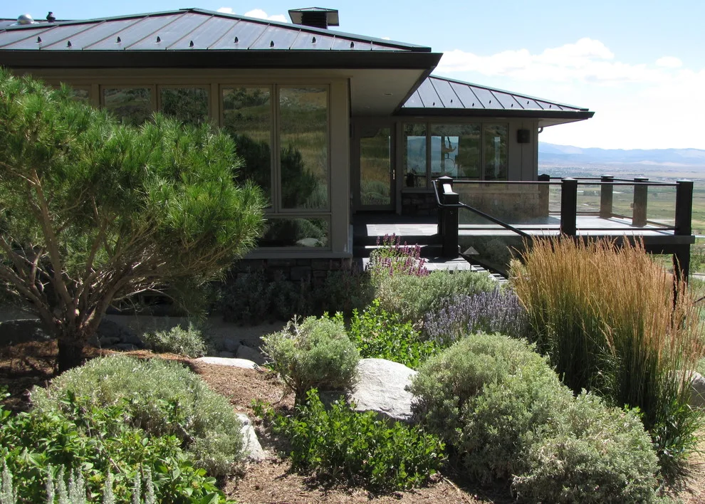 Green Lizard Landscape LLC - Photo 6