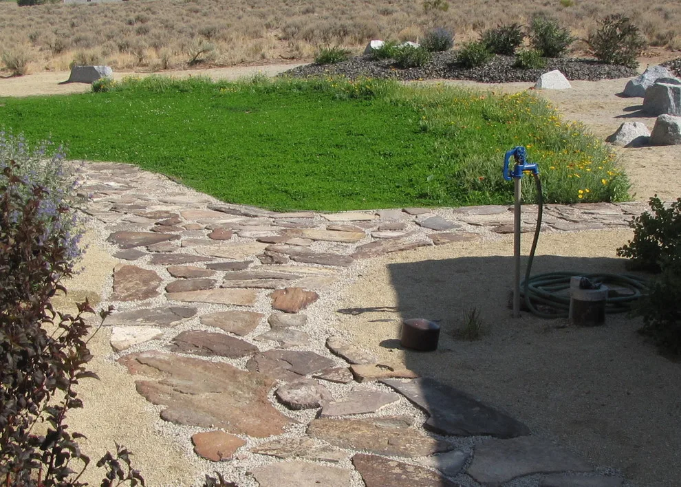 Green Lizard Landscape LLC - Photo 8