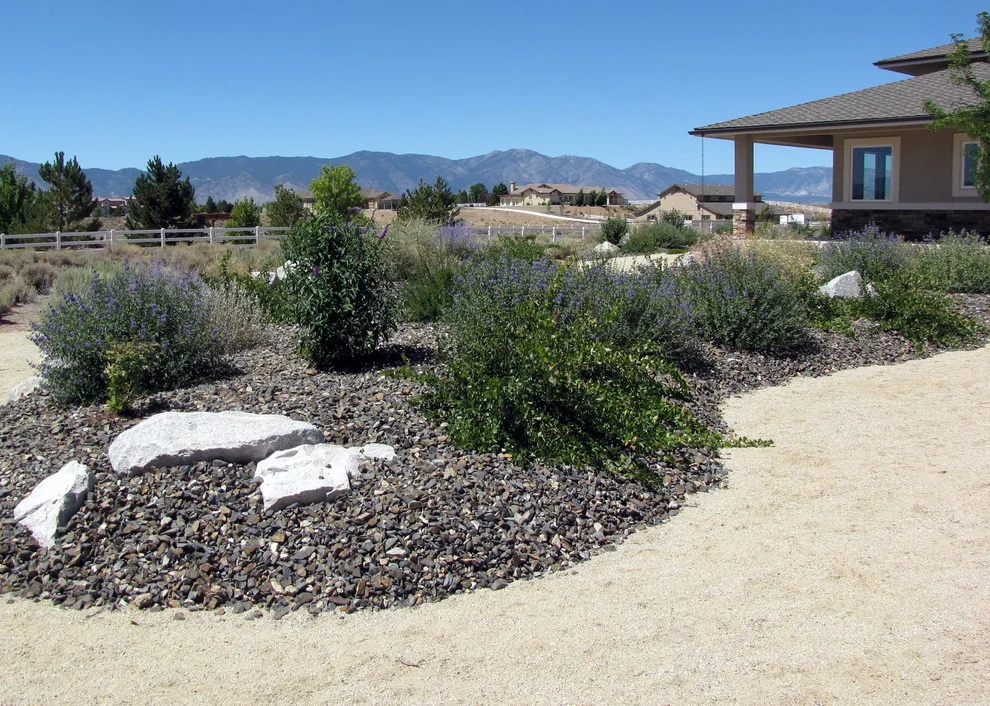 Green Lizard Landscape LLC - Photo 3