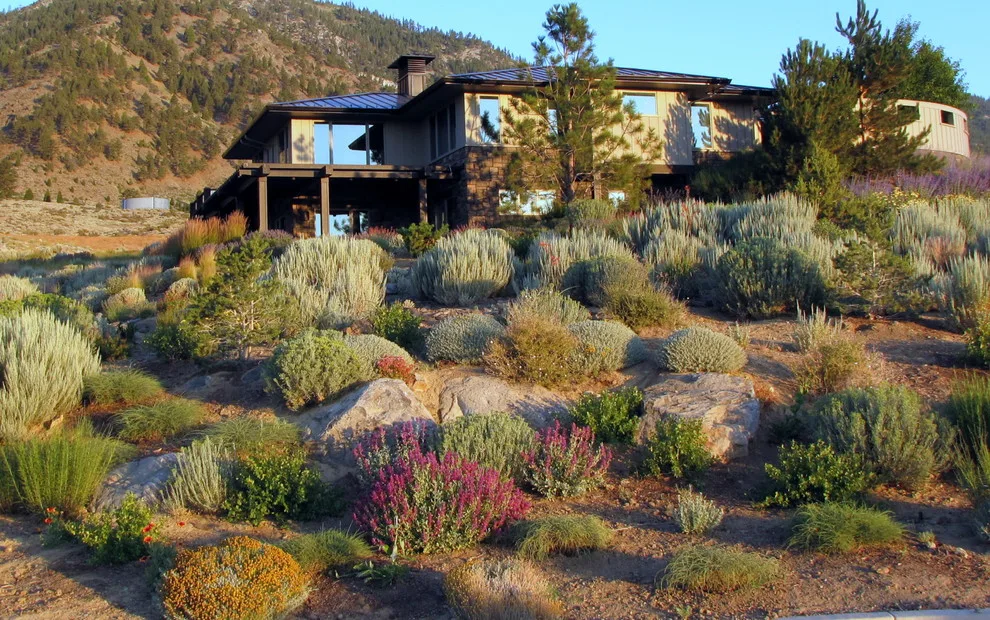 Green Lizard Landscape LLC - Photo 5