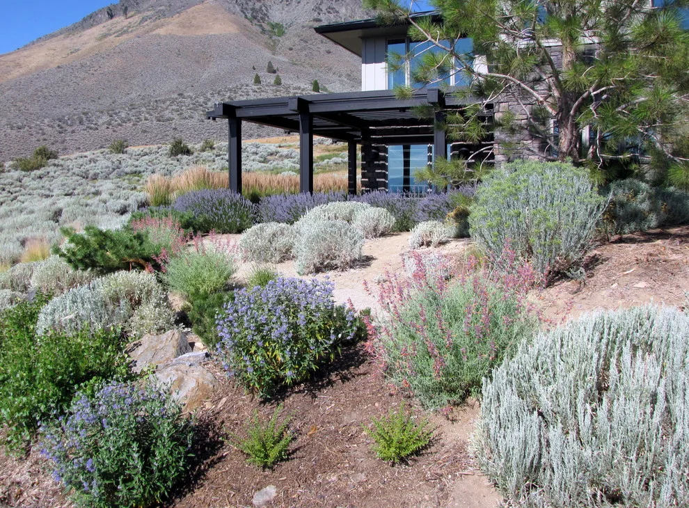 Green Lizard Landscape LLC - Photo 9