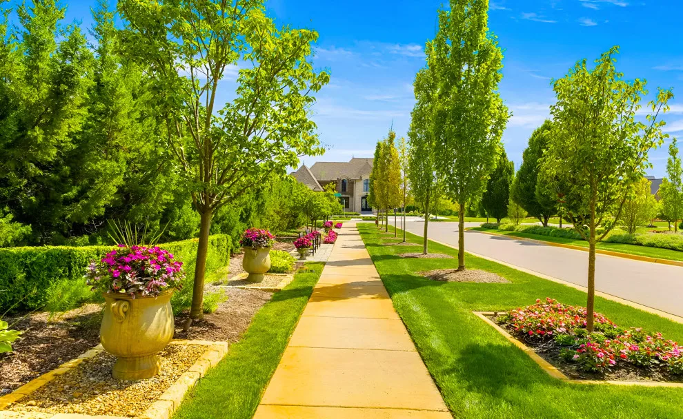 Landscape Care by Mr. Green Thumbs - Photo 6