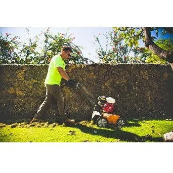 Hawaii Landscaping - Photo 2