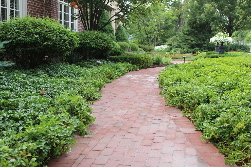 Heated Pathway Renovation by Wichman Landscape & Construction - Photo 3