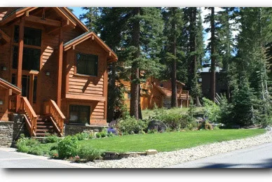 Homestead Landscapes - Photo 9