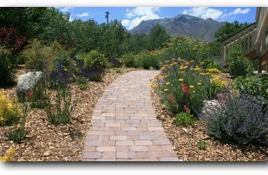 Homestead Landscapes - Photo 6
