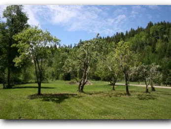 Homestead Landscapes - Photo 8