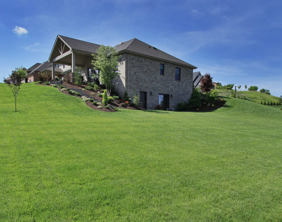 Fresh Turf by Naturescape Inc. - Photo 4