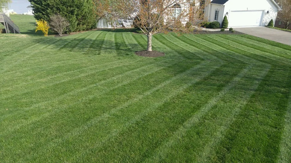 Hydroseeding and Turf Laying by R&D Lawn Care And Landscaping - Photo 2